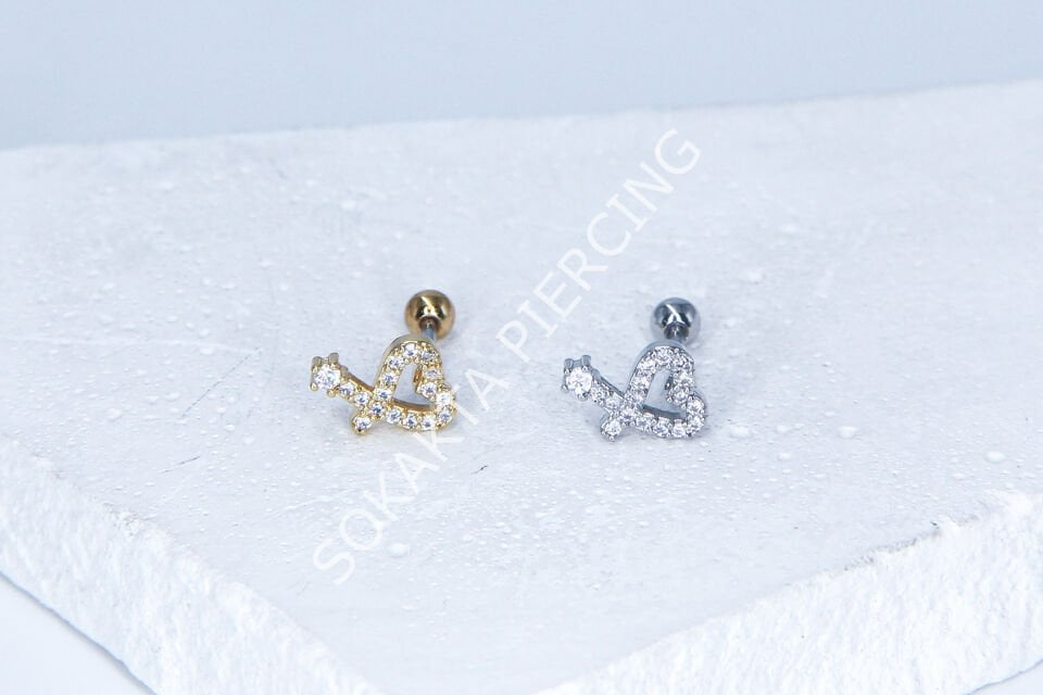 C48- TRAGUS Silver