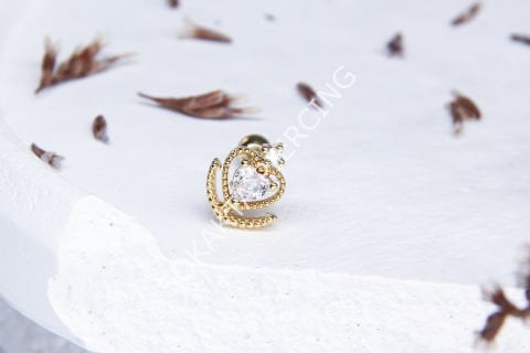 B68 - TRAGUS