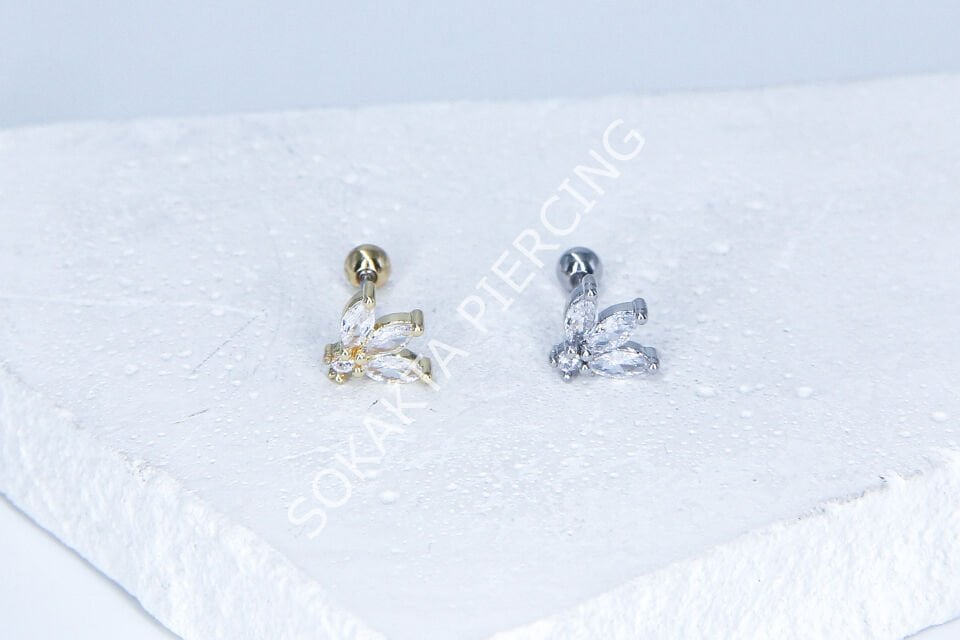C49- TRAGUS Silver