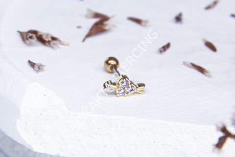 B27 - TRAGUS Silver