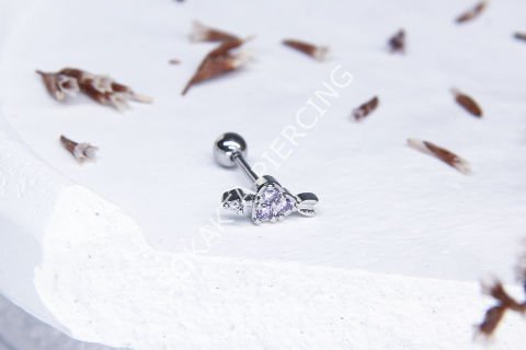 B27 - TRAGUS Silver