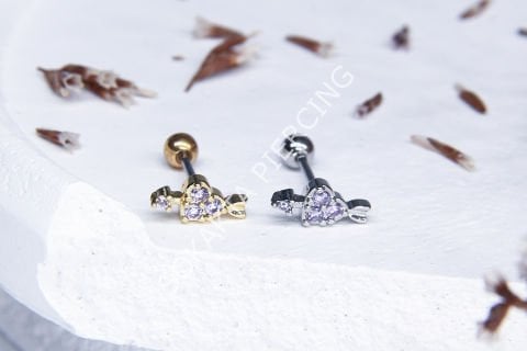 C108 - TRAGUS