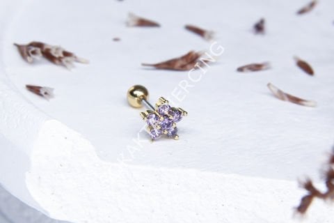 B49 - TRAGUS