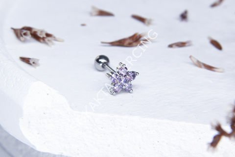 B49 - TRAGUS