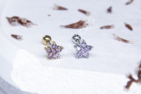 B49 - TRAGUS