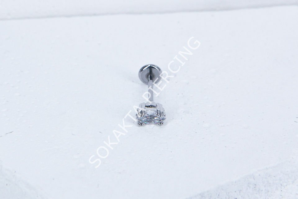 C50- TRAGUS