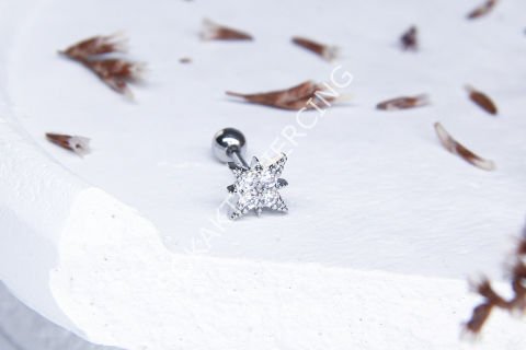 B100 - TRAGUS Gold