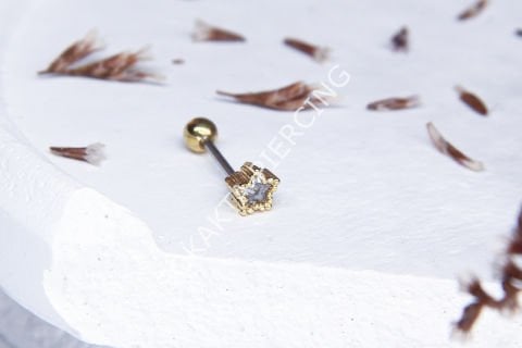 A40 - TRAGUS Silver