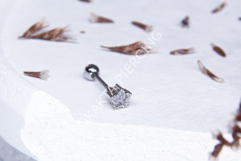 A40 - TRAGUS Silver