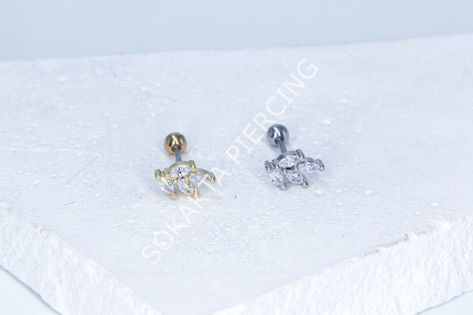 C51- TRAGUS