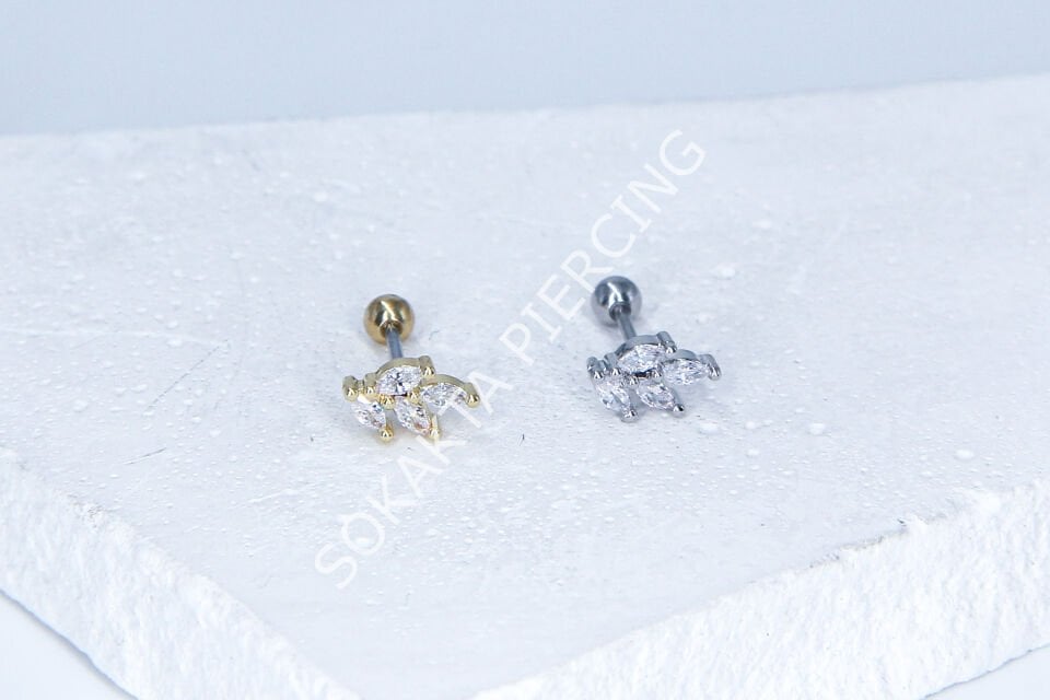 C51- TRAGUS