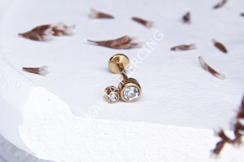 C88 - TRAGUS