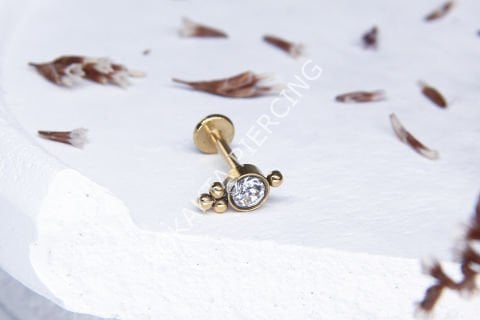 C89 - TRAGUS