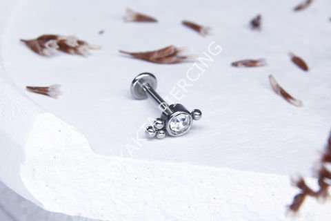 C89 - TRAGUS
