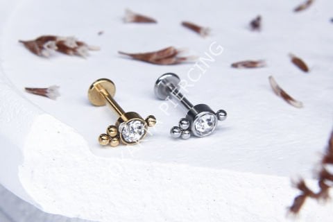 C89 - TRAGUS