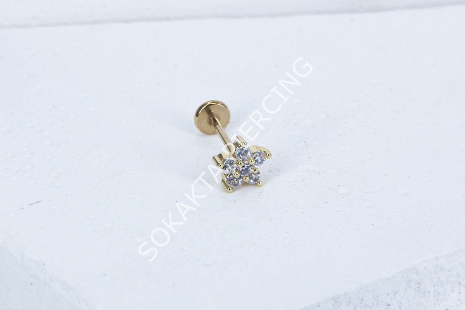 C61- TRAGUS