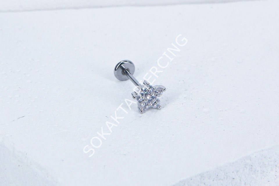 C61- TRAGUS