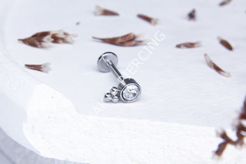 C86 - TRAGUS