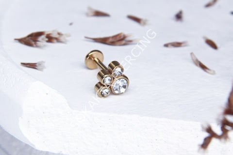 C85 - TRAGUS