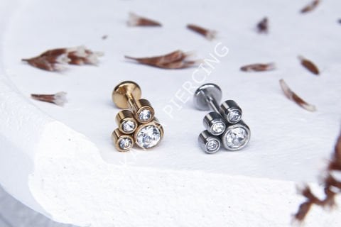 C85 - TRAGUS
