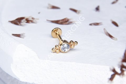 C87 - TRAGUS