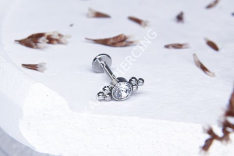 C87 - TRAGUS