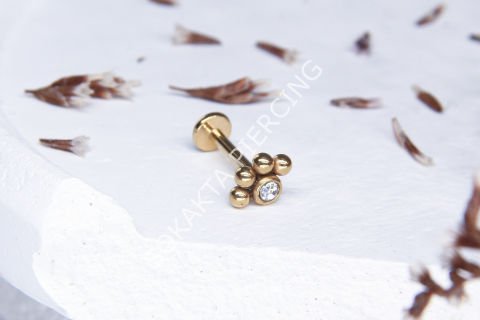 Z63 - TRAGUS