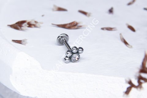 Z63 - TRAGUS