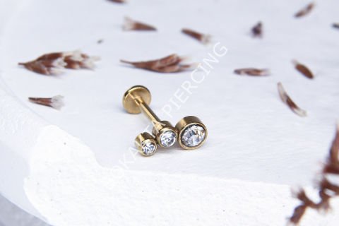 A62 - TRAGUS