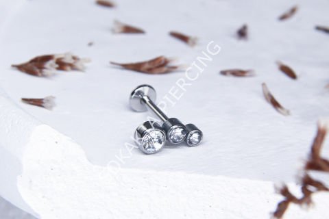 A62 - TRAGUS