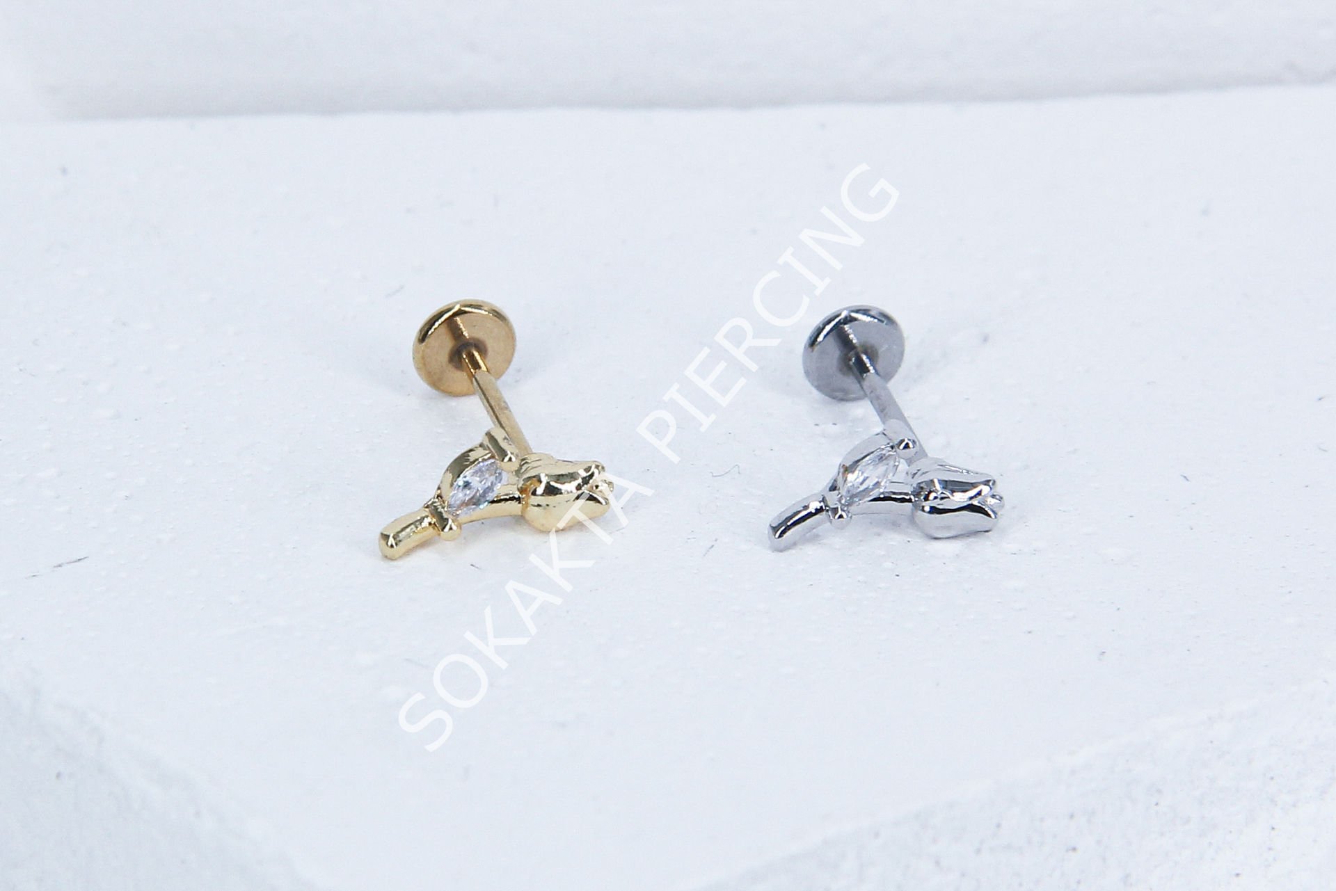 C30- TRAGUS