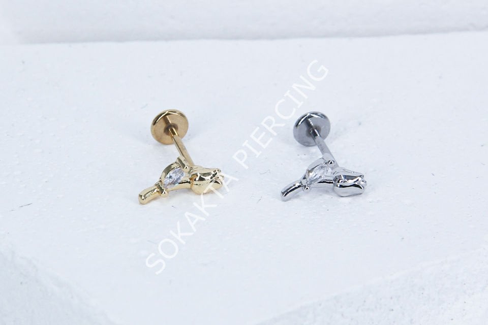 C30- TRAGUS