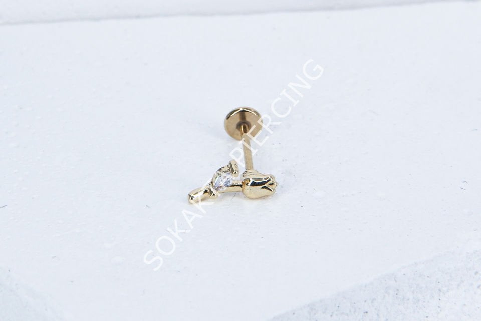 C30- TRAGUS