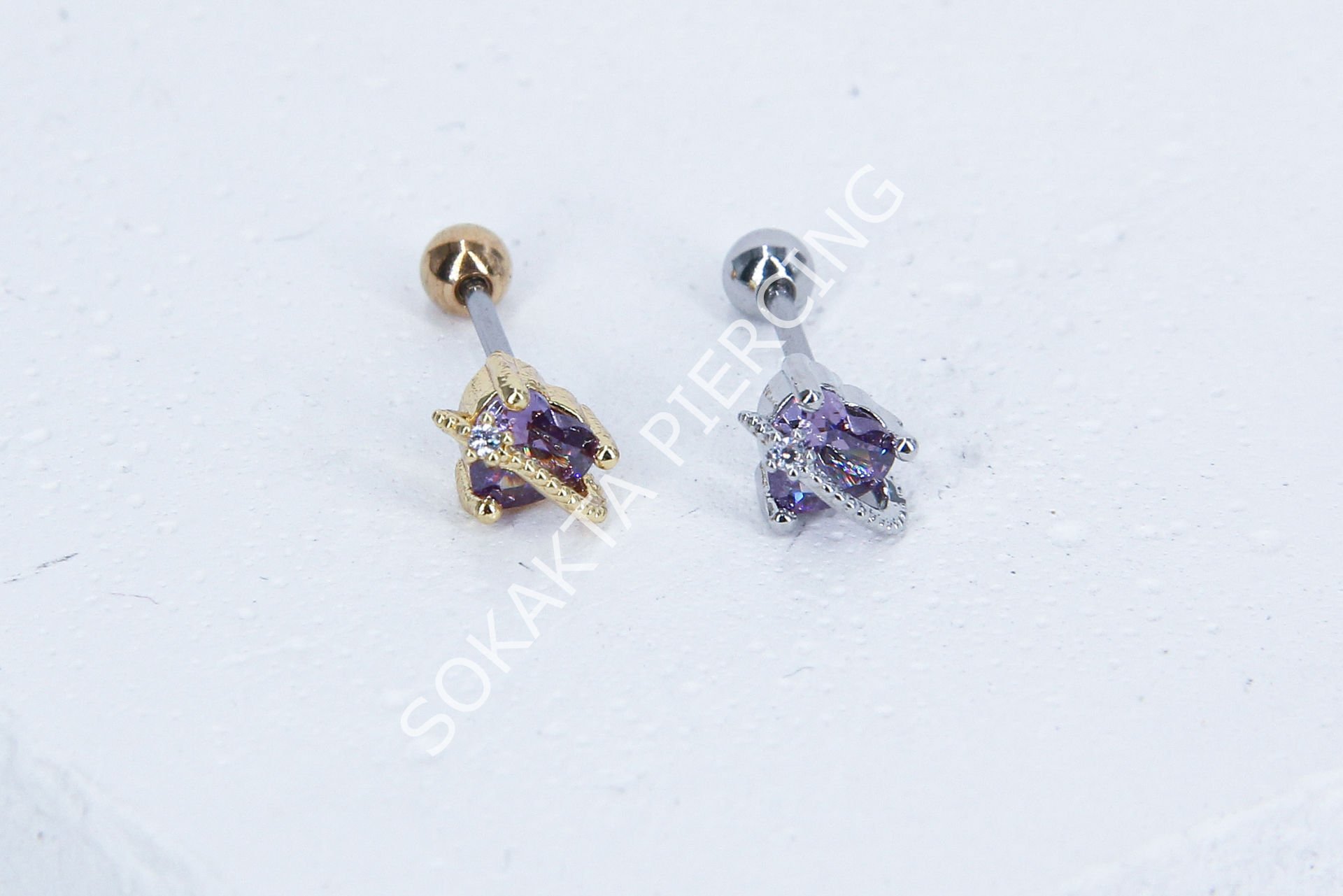 Z13- TRAGUS