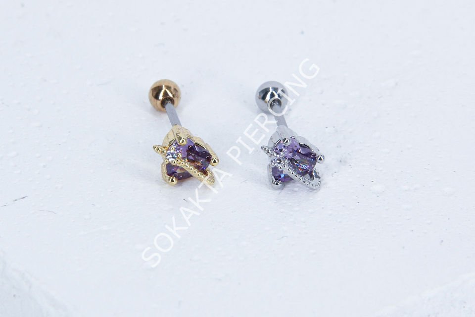 Z13- TRAGUS