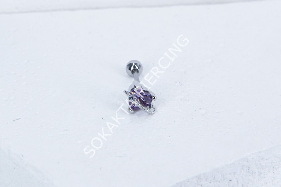 Z13- TRAGUS