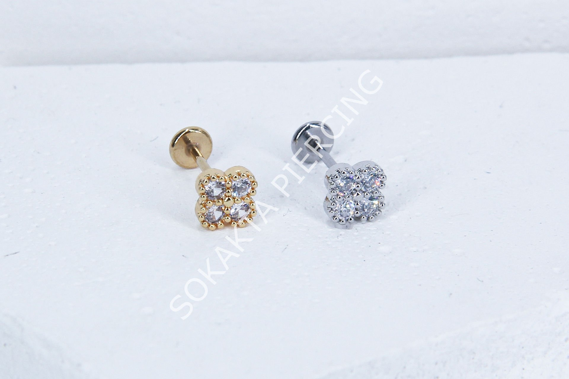C65 - TRAGUS