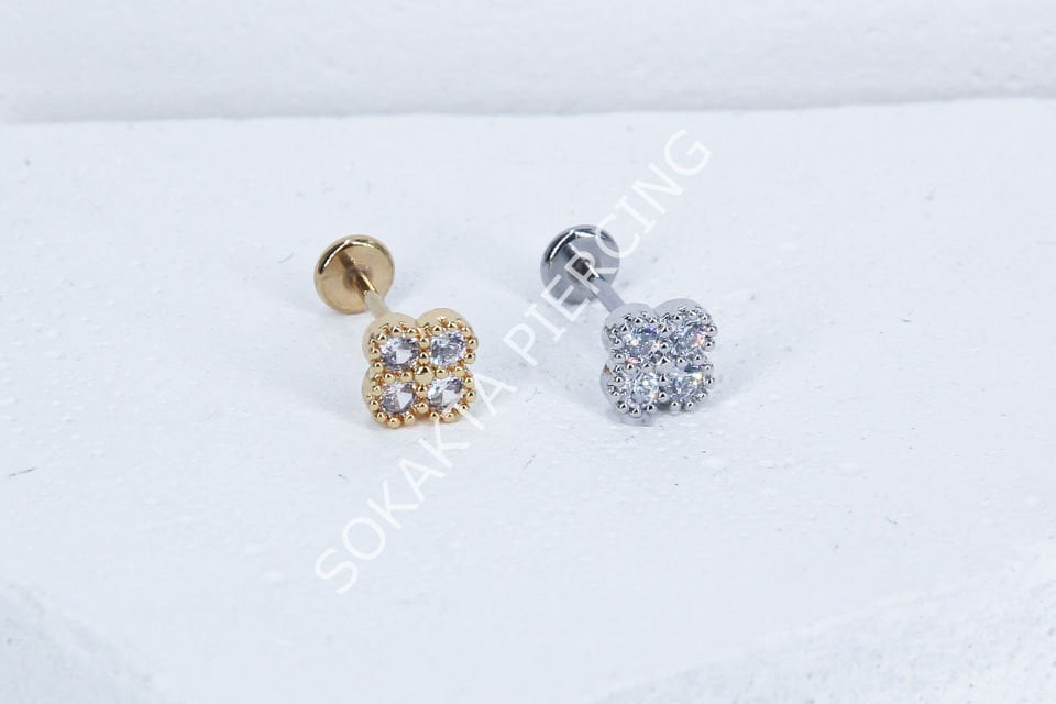 C65 - TRAGUS