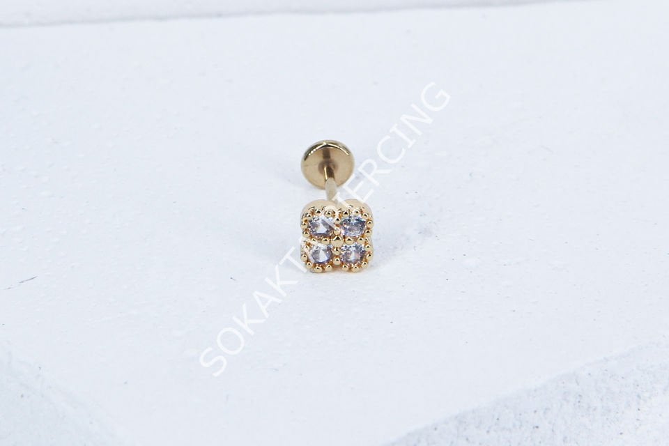 C65 - TRAGUS