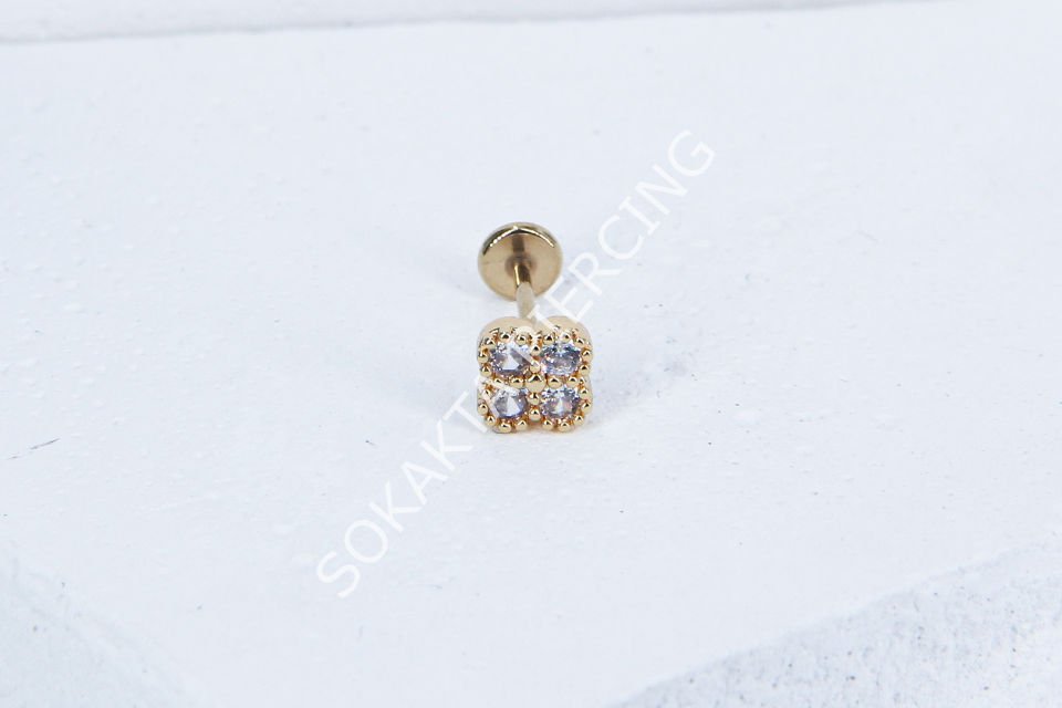 C65 - TRAGUS
