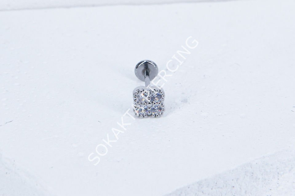 C65 - TRAGUS