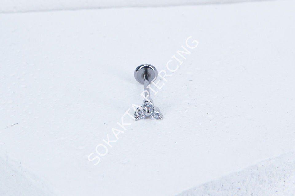 C39 - TRAGUS