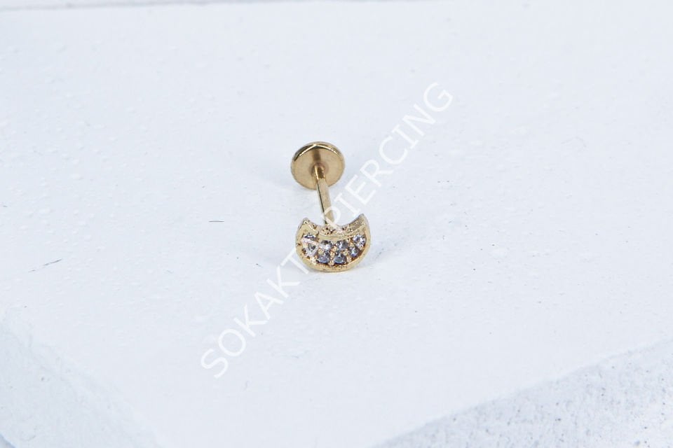 C43 - TRAGUS