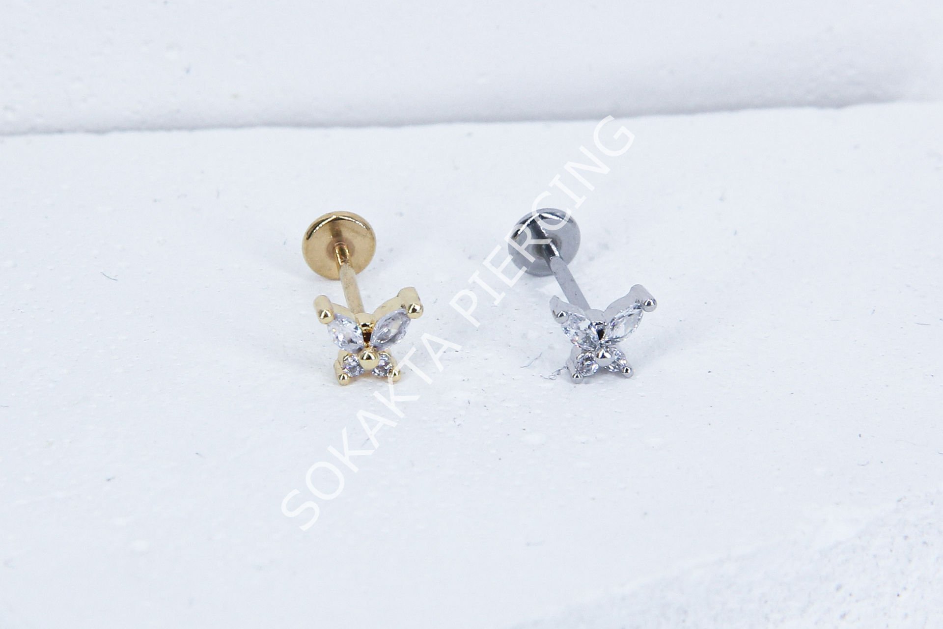 C36 - TRAGUS