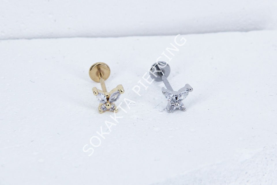C36 - TRAGUS