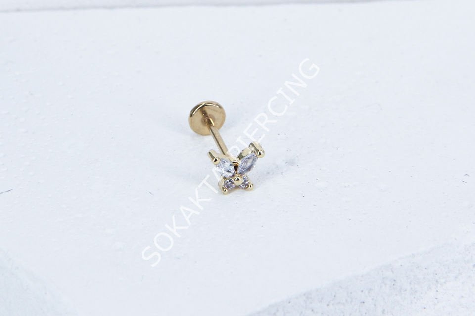 C36 - TRAGUS