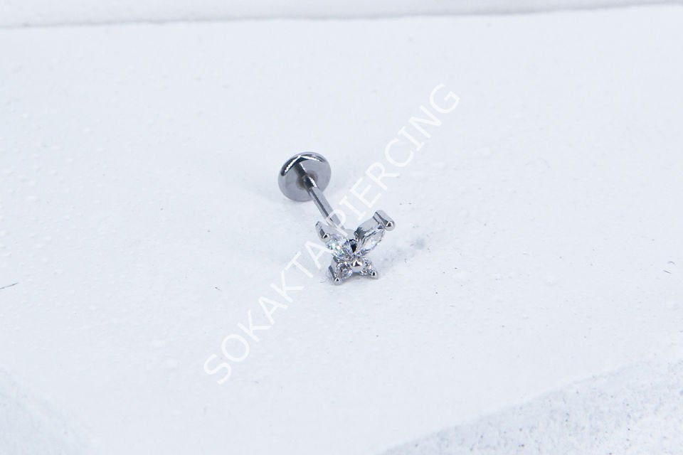 C36 - TRAGUS