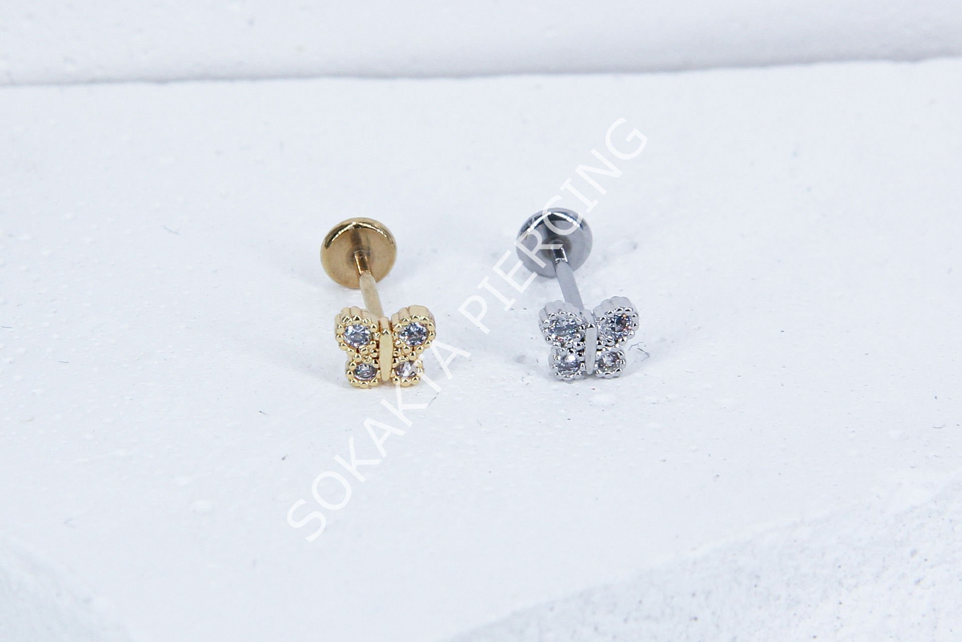 C42 - TRAGUS