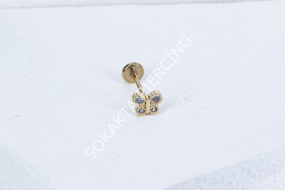 C42 - TRAGUS