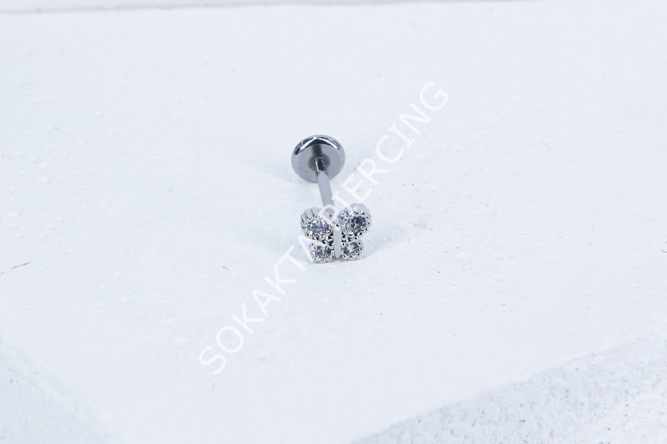C42 - TRAGUS